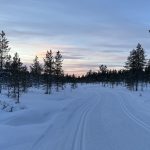 February 2022: Inari, Finland